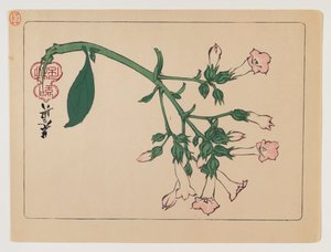Pianta fiorita dalla serie Hana Kurabe, c.1880 da Shibata Zeshin